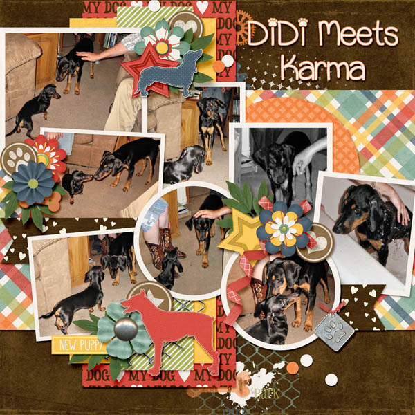 DiDi Meets Karma