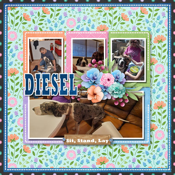 Diesel
