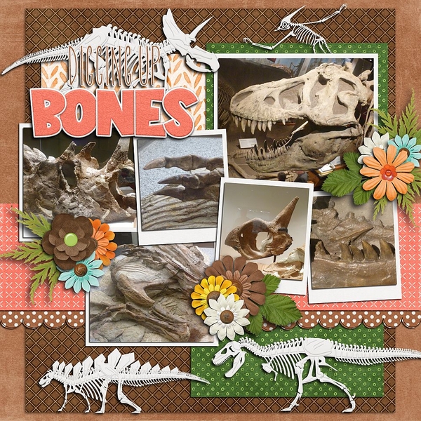 Diggin Up Bones