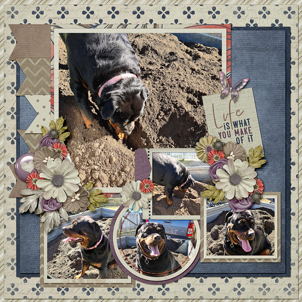 Digging Dawg