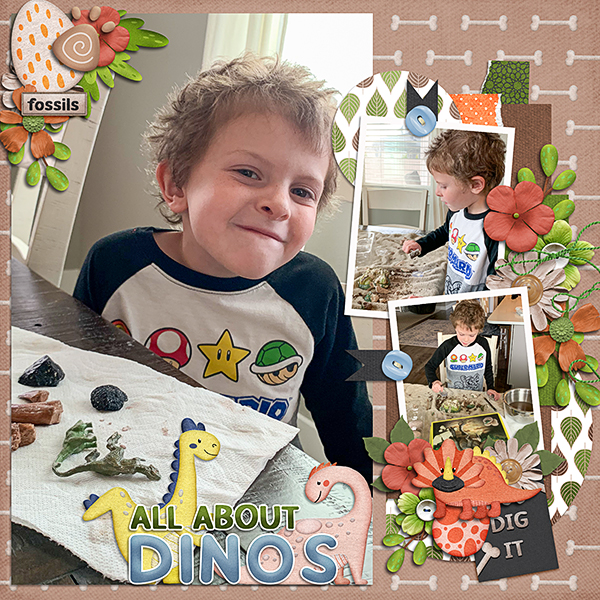 digging-for-fossils