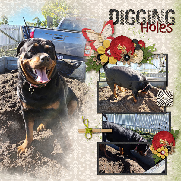 Digging Holes