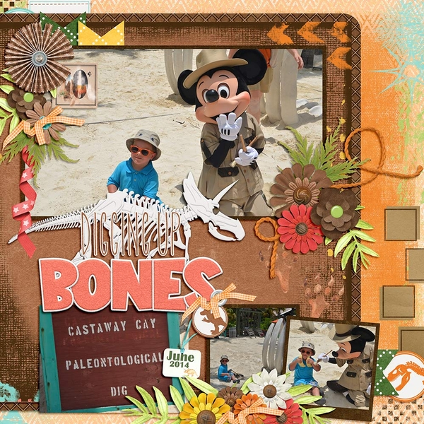 Digging Up Bones