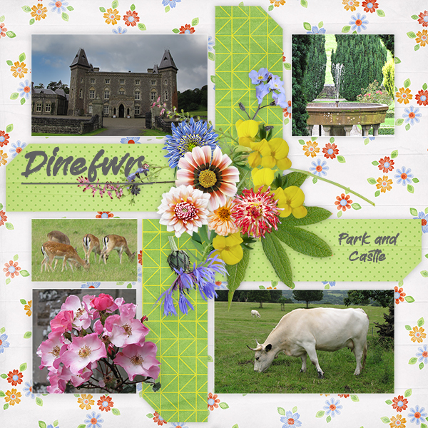 Dinefwr Park and Castle