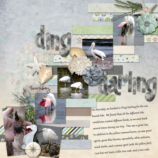 Ding Darling