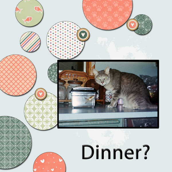 Dinner?