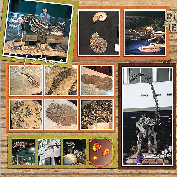 Dino Exhibit L