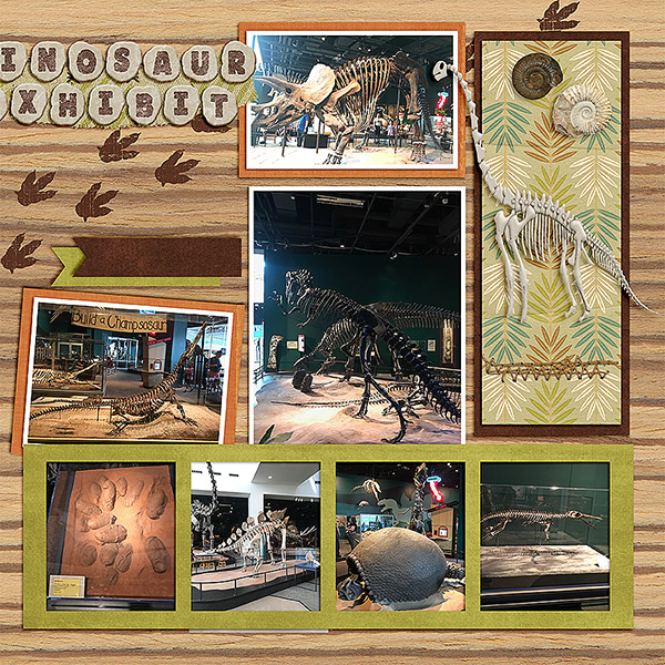 Dino Exhibit R