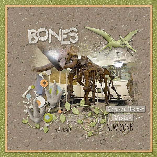 Dinosaur Bones