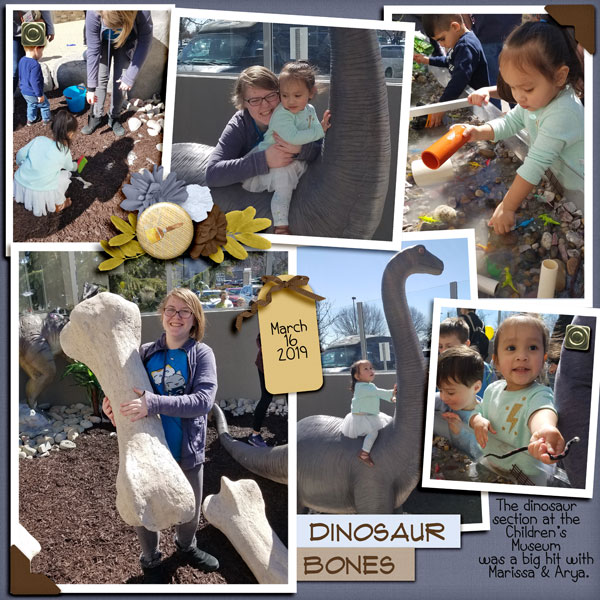 Dinosaur Bones