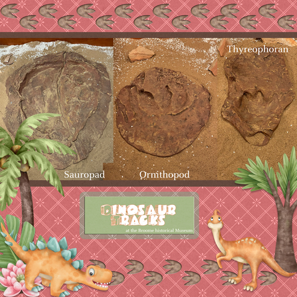 Dinosaur Tracks in Broome Australia