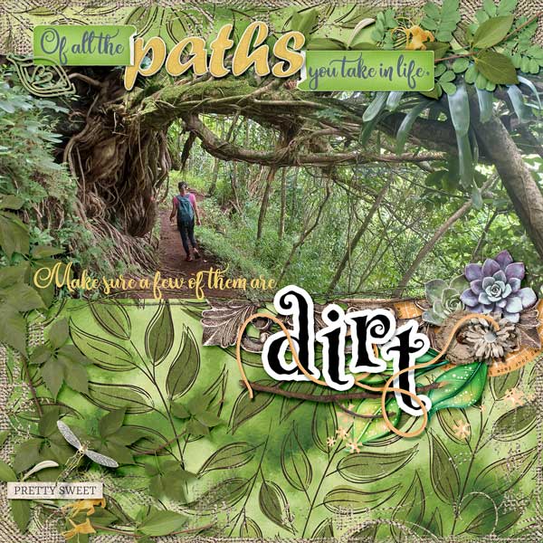 dirt-path-webv.jpg