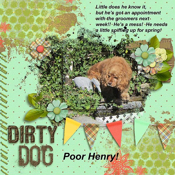 Dirty Dog!