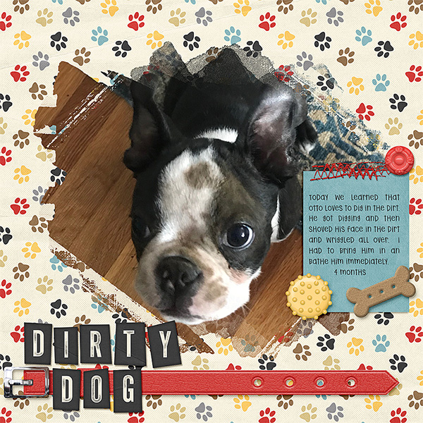 Dirty Dog