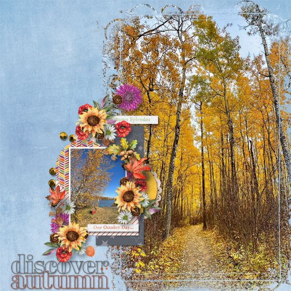 Discover Autumn