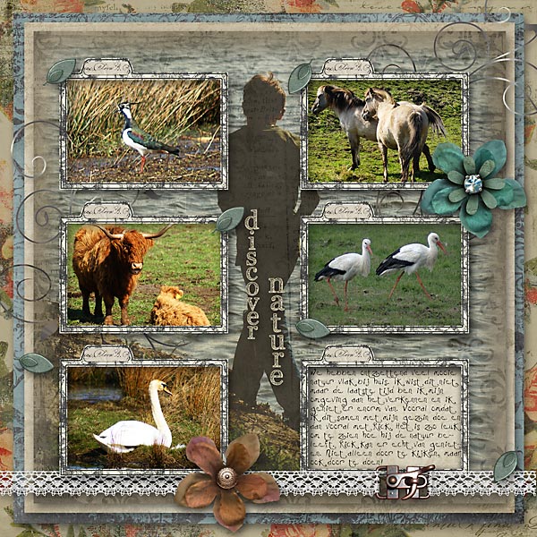 Discover Nature
