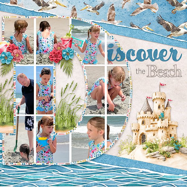 Discover the Beach