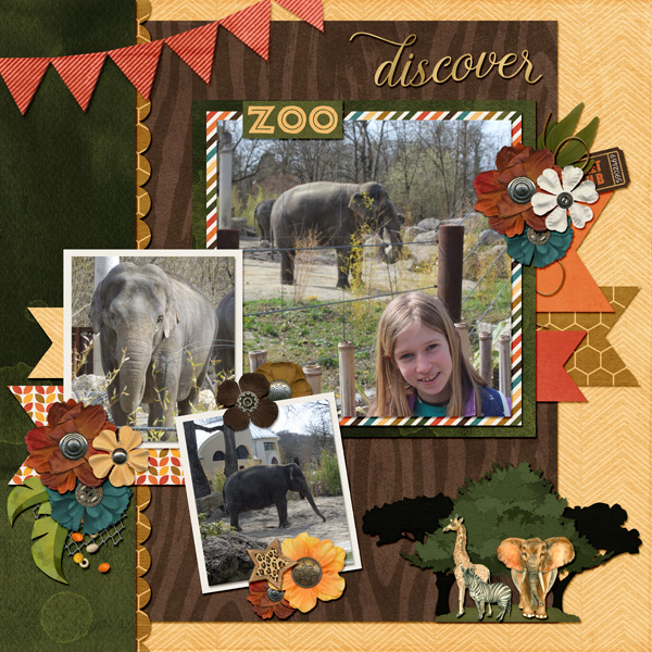 discover the elephants