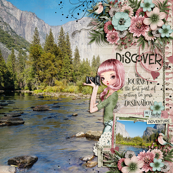 discover
