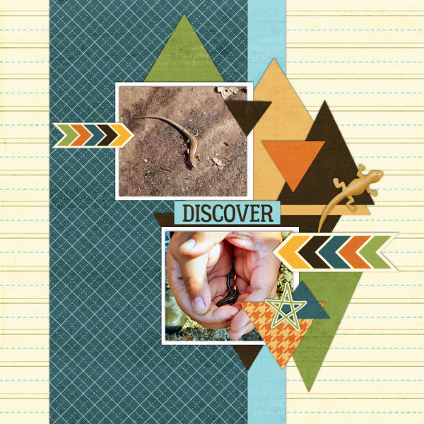 Discover