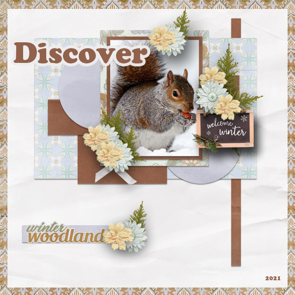 Discover