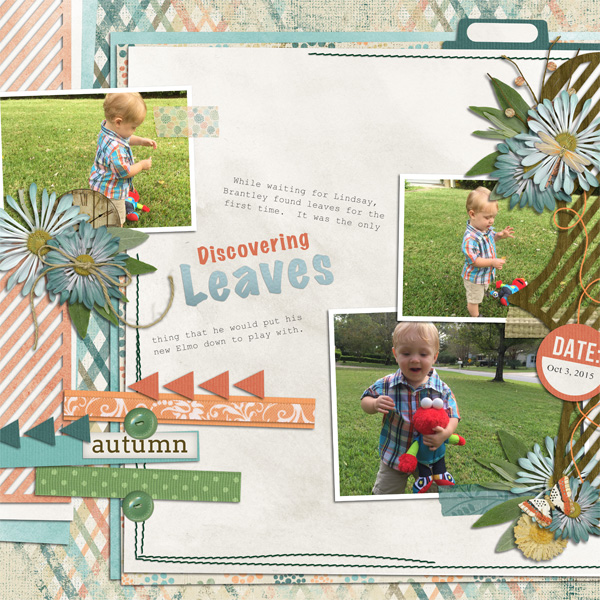 Discovering Leaves