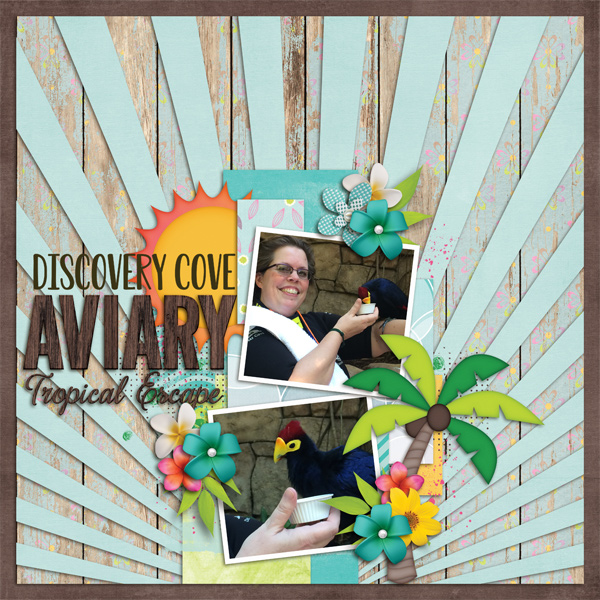Discovery Cove Aviary