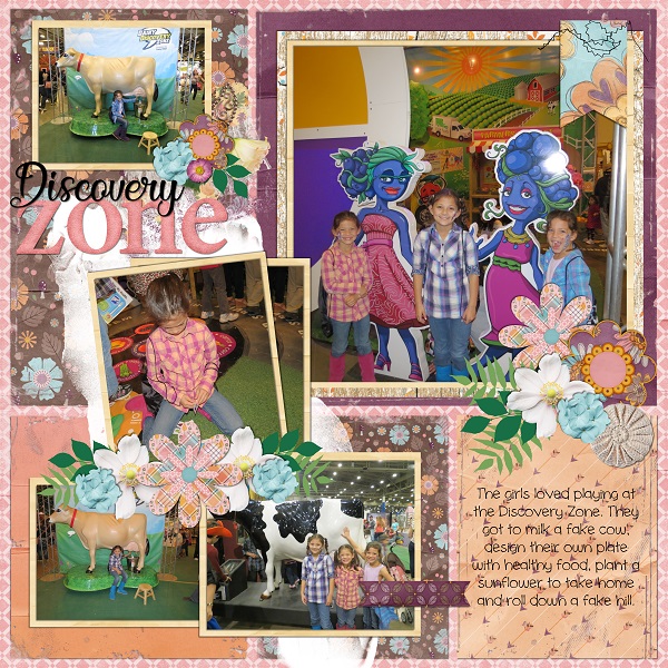 Discovery Zone