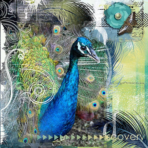 discovery