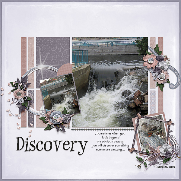 Discovery