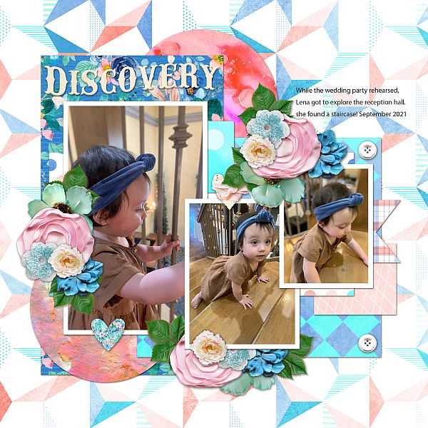 Discovery