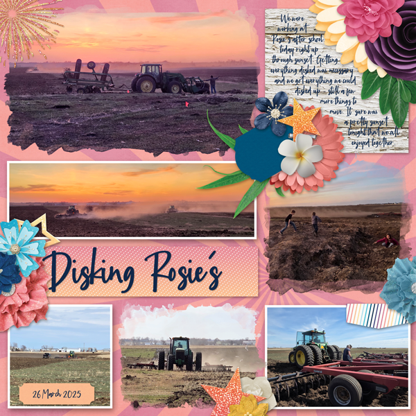 Disking Rosies