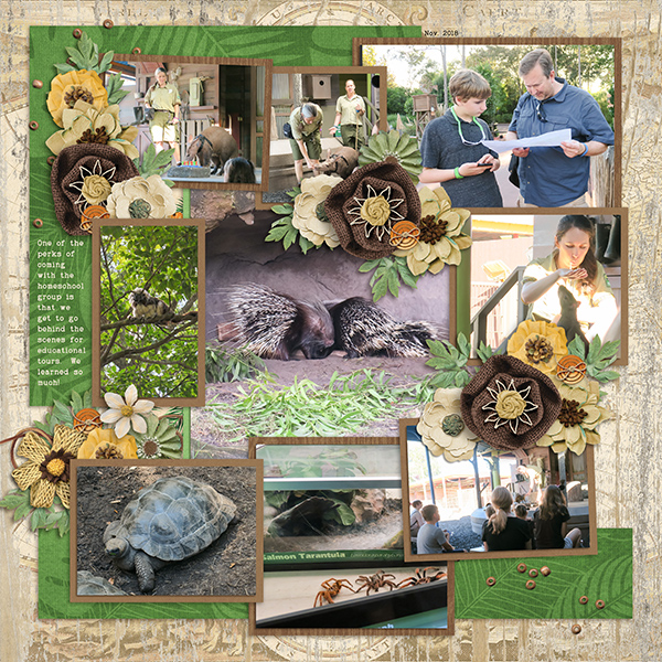 Disney Homeschool Tour