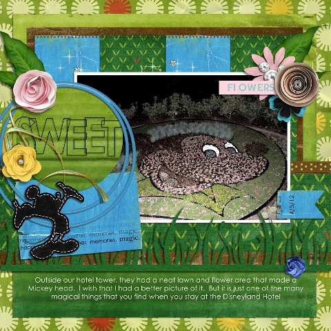 Disney Hotel Lawn