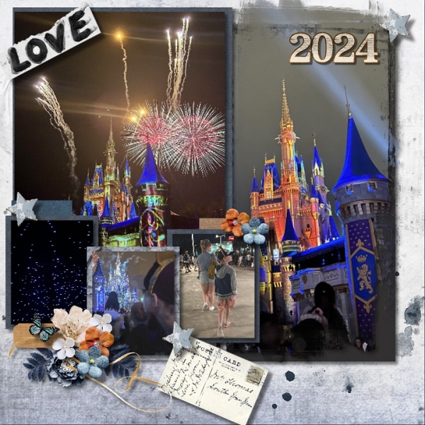 Disney World at Night