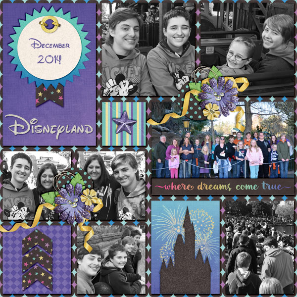 Disneyland 2014