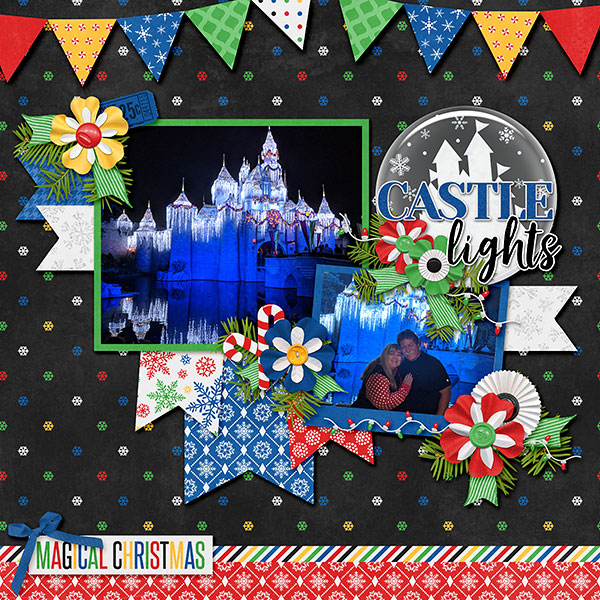 Disneyland - Castle at Night
