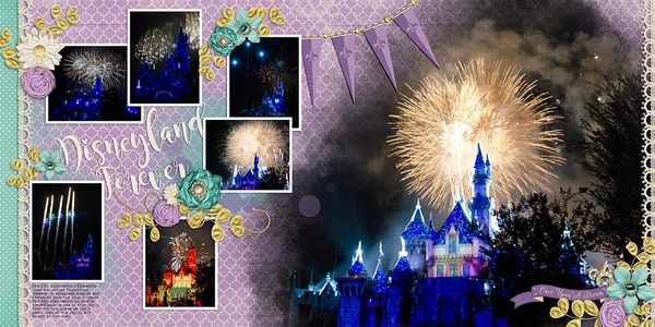 ~Disneyland Forever~