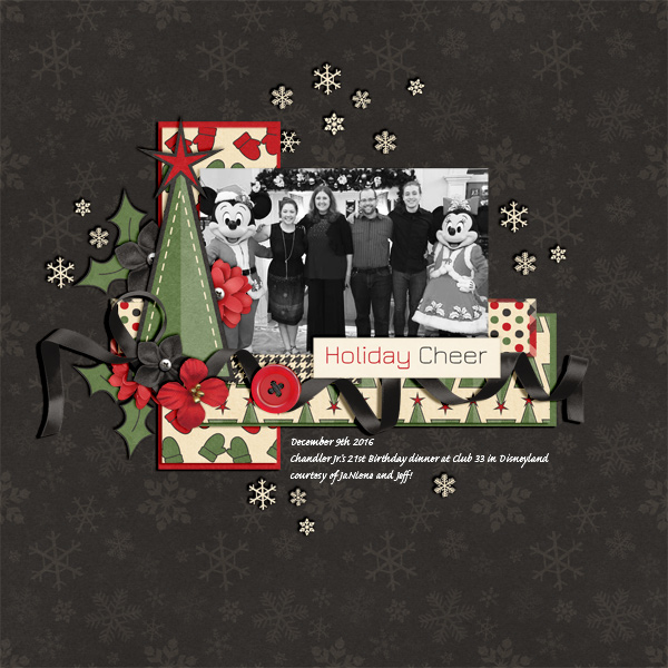 Disneyland Holiday