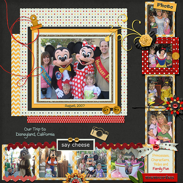 Disneyland Memories