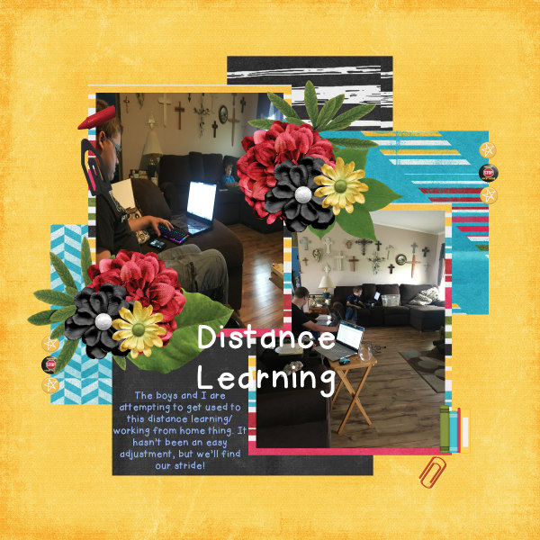 DistanceLearning