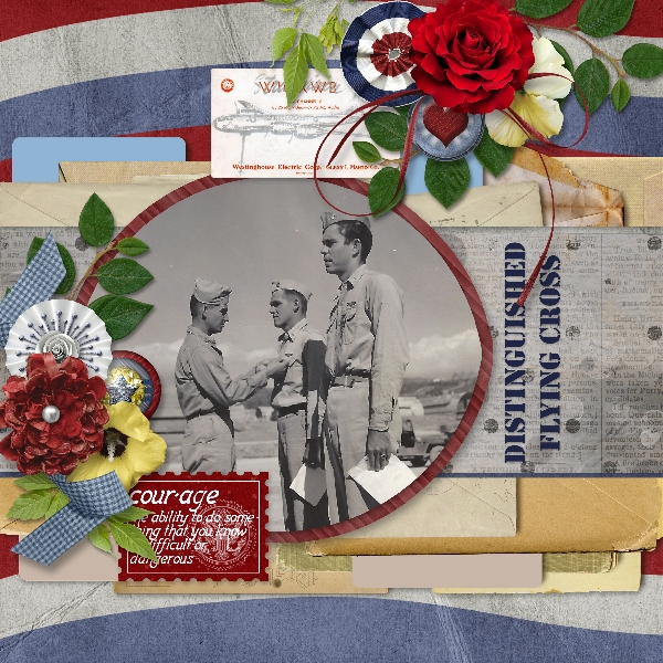 Distinguished Flying Cross