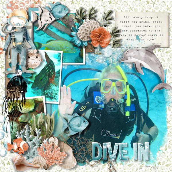 Dive In