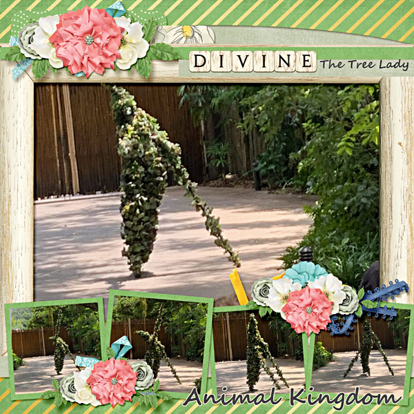 Divine the Tree Lady