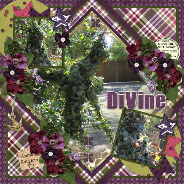 DiVine