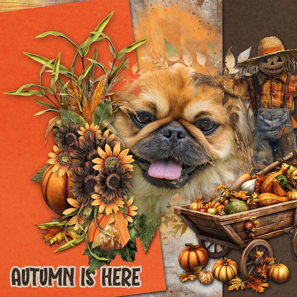 Dixie loves Autumn