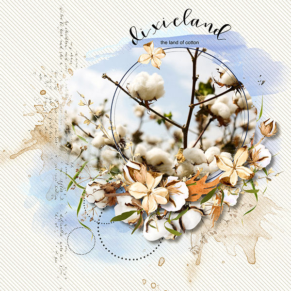 DIXIELAND THE LAND OF COTTON