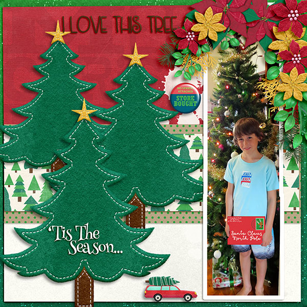 Dj and Tree