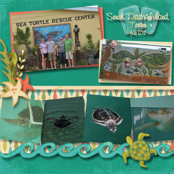 dkb_seaturtles_SPI12_copy