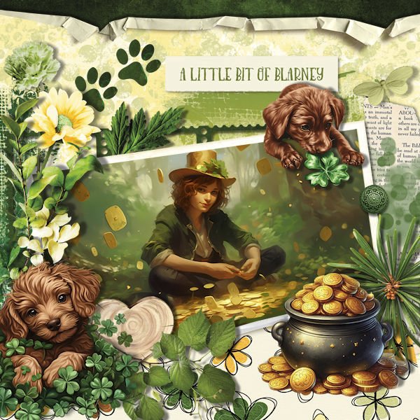 DLPatt_ALittleBitOfBlarney_web.jpg